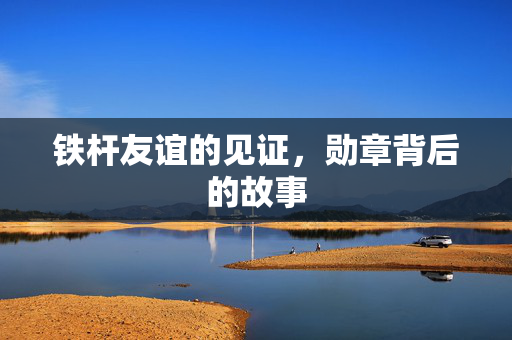 铁杆友谊的见证，勋章背后的故事