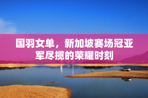 国羽女单，新加坡赛场冠亚军尽揽的荣耀时刻