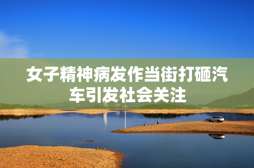 女子精神病发作当街打砸汽车引发社会关注