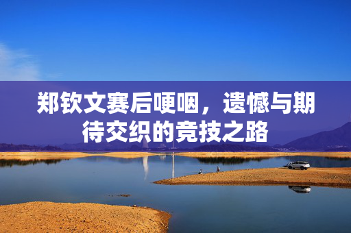郑钦文赛后哽咽，遗憾与期待交织的竞技之路