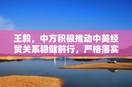 王毅，中方积极推动中美经贸关系稳健前行，严格落实会谈共识
