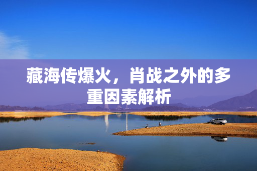 藏海传爆火，肖战之外的多重因素解析