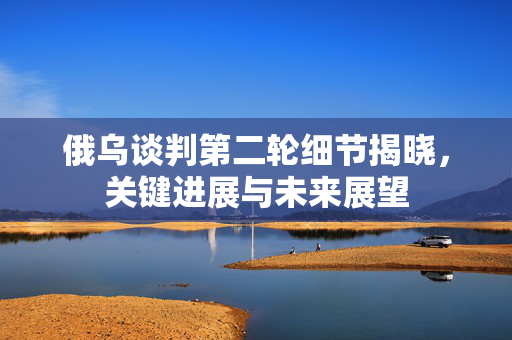 俄乌谈判第二轮细节揭晓，关键进展与未来展望