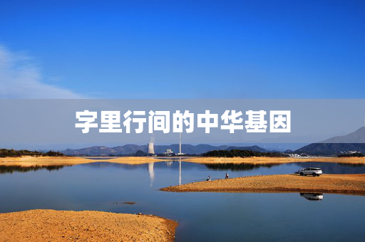 字里行间的中华基因