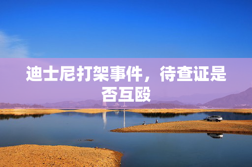 迪士尼打架事件，待查证是否互殴