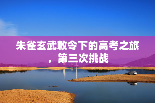 朱雀玄武敕令下的高考之旅，第三次挑战