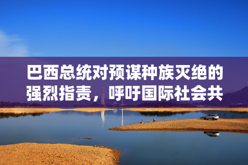 巴西总统对预谋种族灭绝的强烈指责，呼吁国际社会共同关注与行动