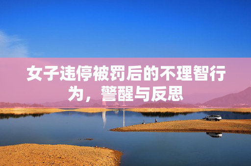女子违停被罚后的不理智行为，警醒与反思