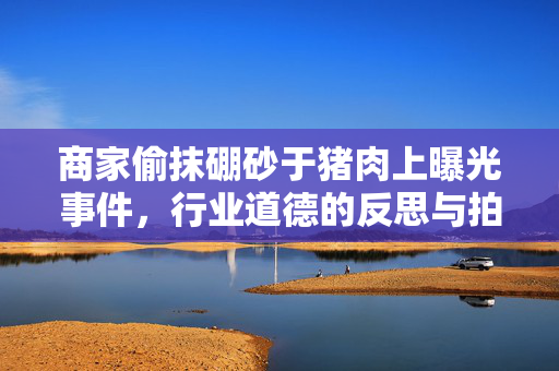 商家偷抹硼砂于猪肉上曝光事件，行业道德的反思与拍摄者回应