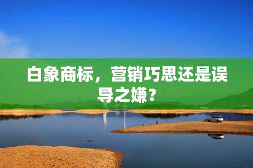 白象商标，营销巧思还是误导之嫌？