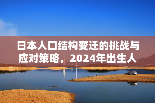 日本人口结构变迁的挑战与应对策略，2024年出生人口不足70万的未来之路