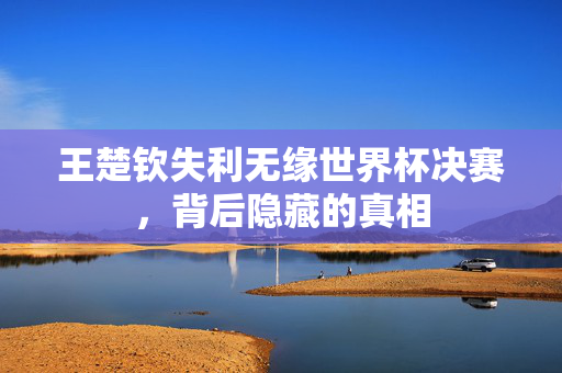 王楚钦失利无缘世界杯决赛，背后隐藏的真相