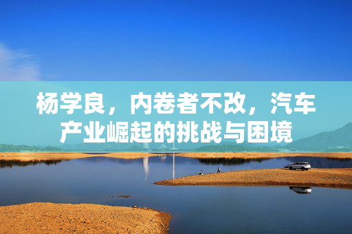 杨学良，内卷者不改，汽车产业崛起的挑战与困境