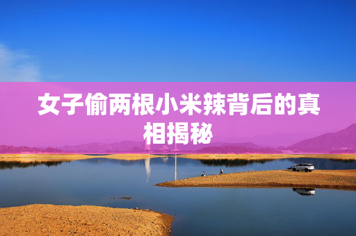 女子偷两根小米辣背后的真相揭秘