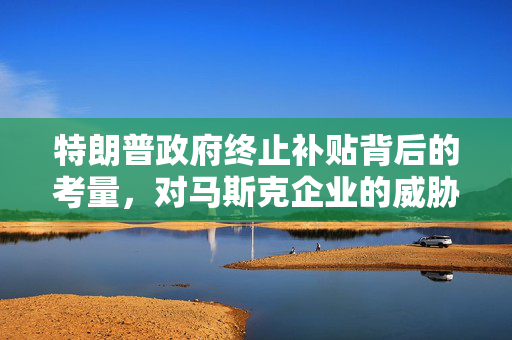特朗普政府终止补贴背后的考量，对马斯克企业的威胁与决策