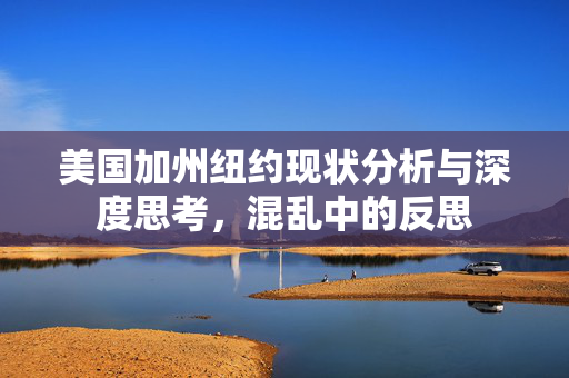 美国加州纽约现状分析与深度思考，混乱中的反思
