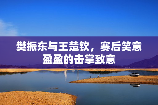 樊振东与王楚钦，赛后笑意盈盈的击掌致意