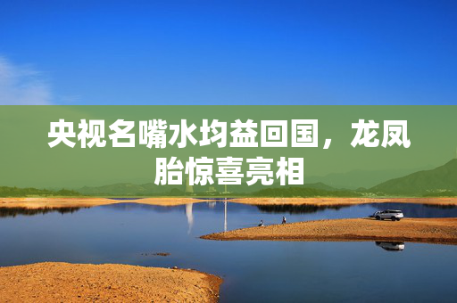 央视名嘴水均益回国，龙凤胎惊喜亮相