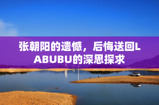 张朝阳的遗憾，后悔送回LABUBU的深思探求
