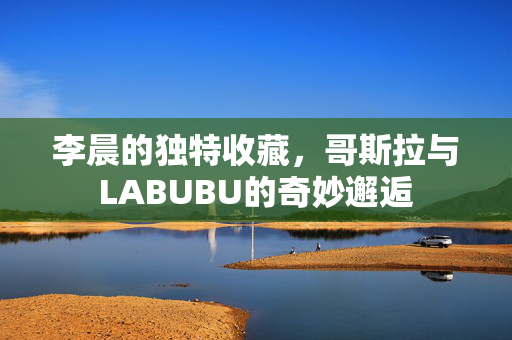 李晨的独特收藏，哥斯拉与LABUBU的奇妙邂逅