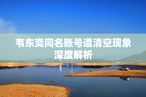 韦东奕同名账号遭清空现象深度解析
