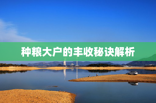 种粮大户的丰收秘诀解析