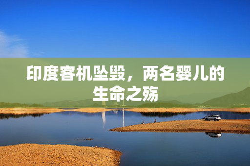 印度客机坠毁，两名婴儿的生命之殇