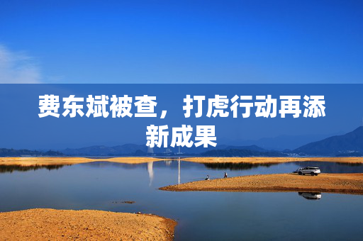 费东斌被查，打虎行动再添新成果