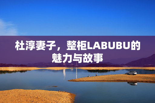 杜淳妻子，整柜LABUBU的魅力与故事