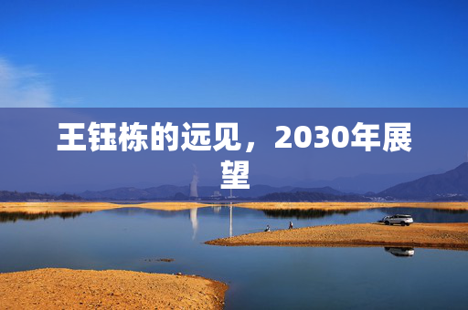 王钰栋的远见，2030年展望