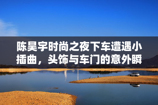 陈昊宇时尚之夜下车遭遇小插曲，头饰与车门的意外瞬间