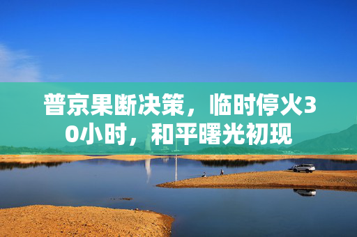 普京果断决策，临时停火30小时，和平曙光初现
