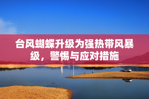 台风蝴蝶升级为强热带风暴级，警惕与应对措施