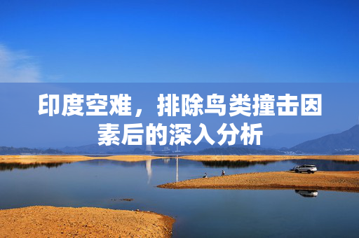 印度空难，排除鸟类撞击因素后的深入分析