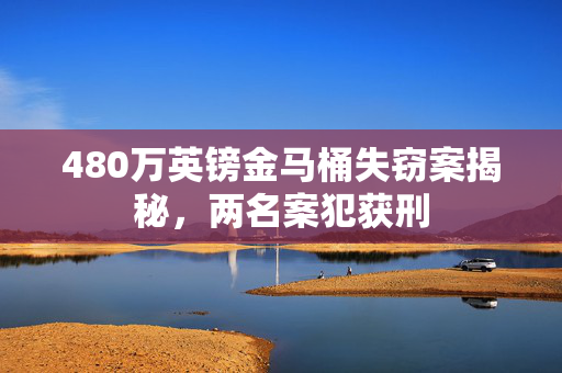 480万英镑金马桶失窃案揭秘，两名案犯获刑