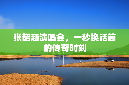 张韶涵演唱会，一秒换话筒的传奇时刻