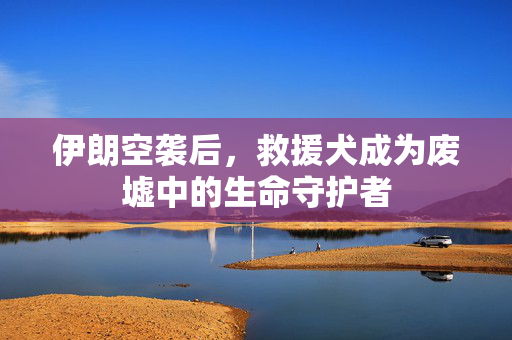 伊朗空袭后，救援犬成为废墟中的生命守护者