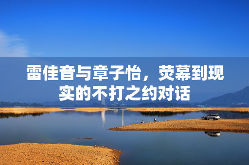 雷佳音与章子怡，荧幕到现实的不打之约对话
