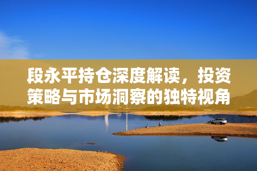 段永平持仓深度解读，投资策略与市场洞察的独特视角