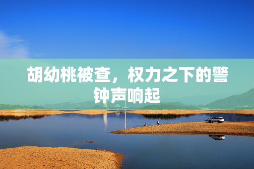 胡幼桃被查，权力之下的警钟声响起