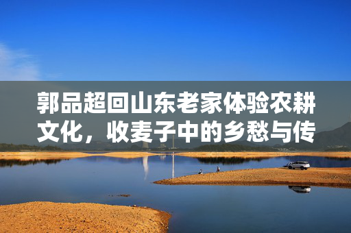郭品超回山东老家体验农耕文化，收麦子中的乡愁与传承