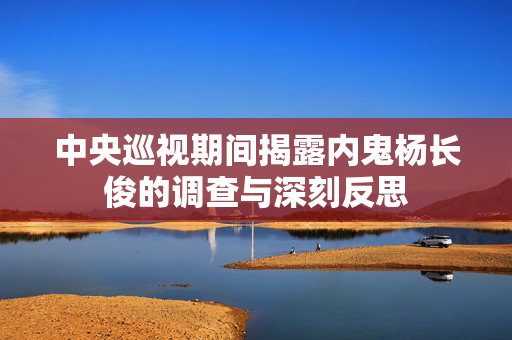 中央巡视期间揭露内鬼杨长俊的调查与深刻反思