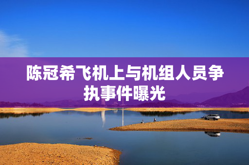 陈冠希飞机上与机组人员争执事件曝光