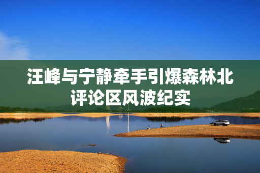 汪峰与宁静牵手引爆森林北评论区风波纪实