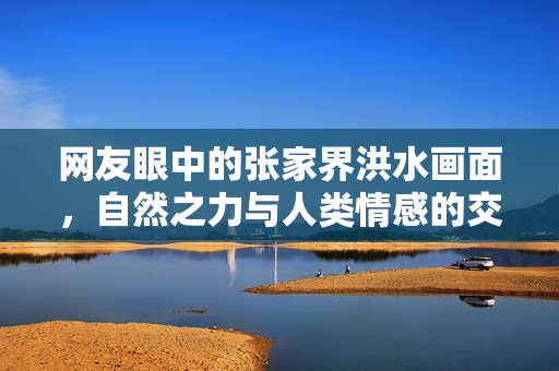 网友眼中的张家界洪水画面，自然之力与人类情感的交织
