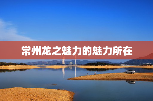 常州龙之魅力的魅力所在