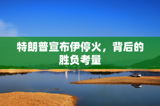 特朗普宣布伊停火，背后的胜负考量