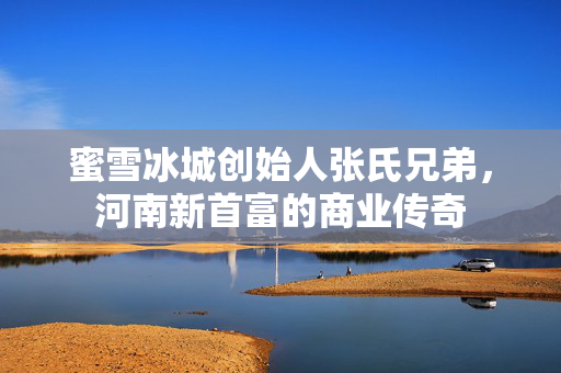 蜜雪冰城创始人张氏兄弟，河南新首富的商业传奇