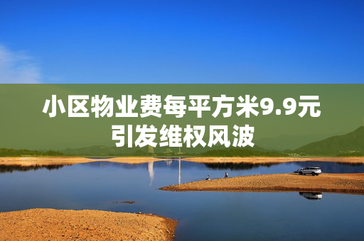 小区物业费每平方米9.9元引发维权风波