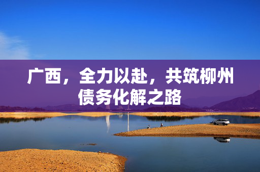 广西，全力以赴，共筑柳州债务化解之路